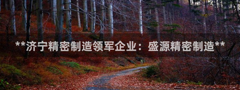彩神大发黑平台