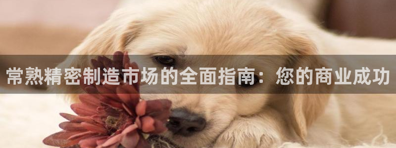 彩神v8有多久了?靠谱吗
