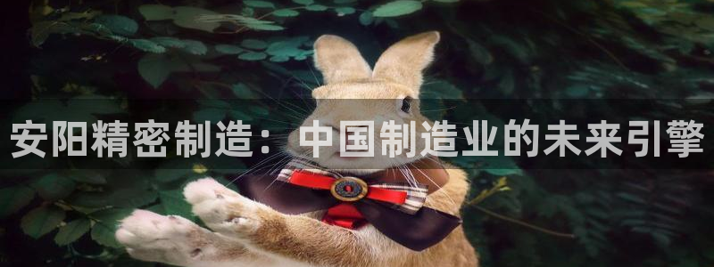 彩神v网赌软件下载